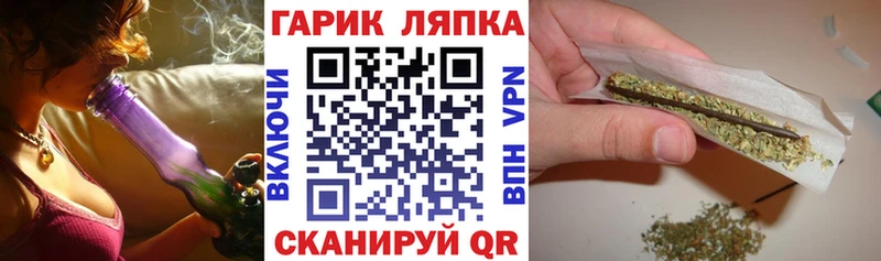 ГАШ Premium  где купить   гидра ТОР  Саратов 