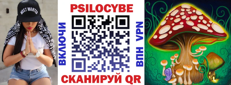 mega ТОР  Саратов  Псилоцибиновые грибы мицелий  как найти закладки 
